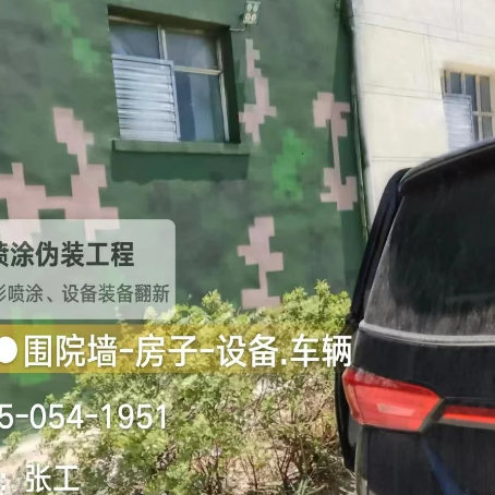 北碚数码迷彩漆施工